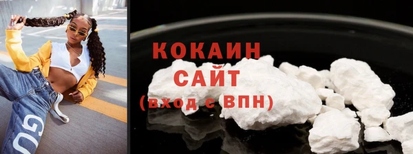 соль ск Богородск