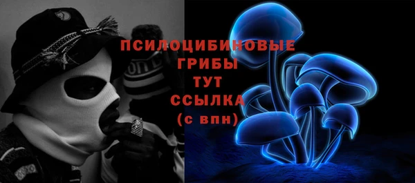 амф Бугульма
