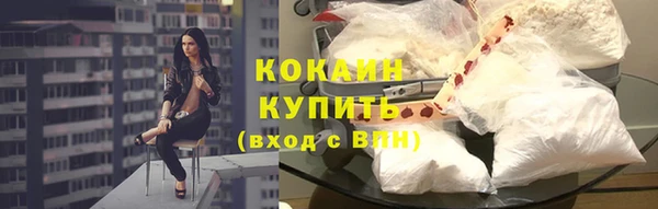 мдпв Богданович