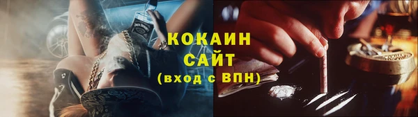 соль ск Богородск