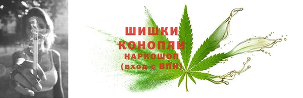 мдпв Богданович
