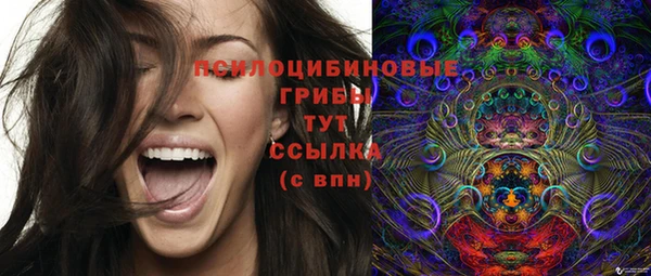 мдпв Богданович