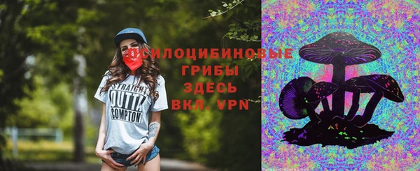 хмурый Туринск