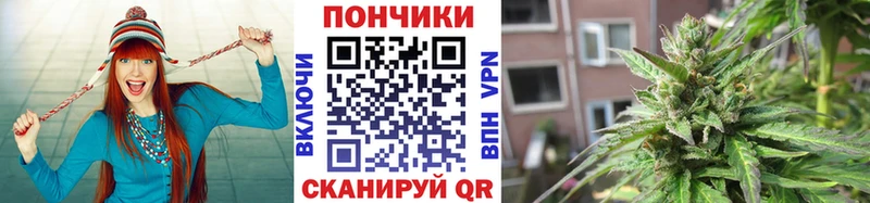 даркнет сайт  Кирс  Бошки Шишки Amnesia 